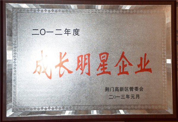 成長(zhǎng)明星企業(yè)